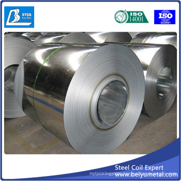 Zinc Steel Coil in Galvanized Width 1000mm